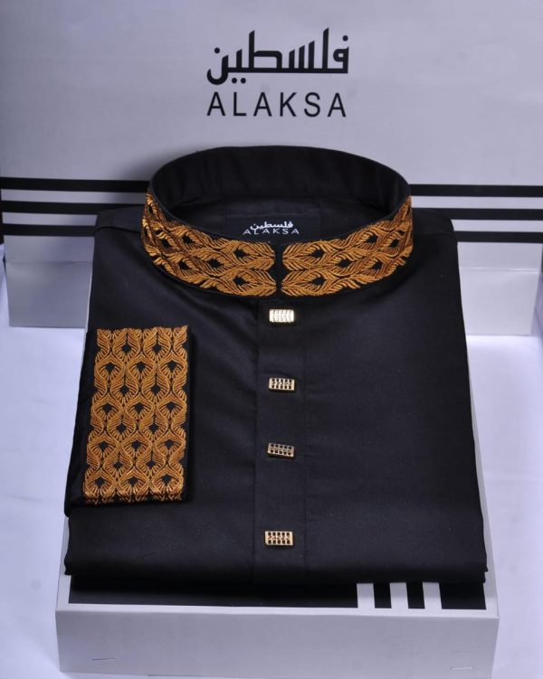 luxury punjabi - Image 3
