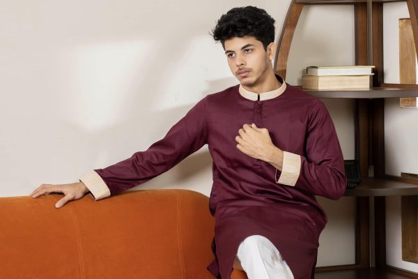 Luxurious panjabi. - Image 3