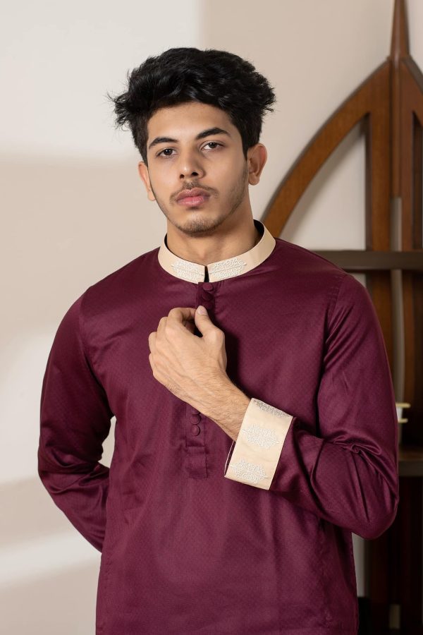 Luxurious panjabi.